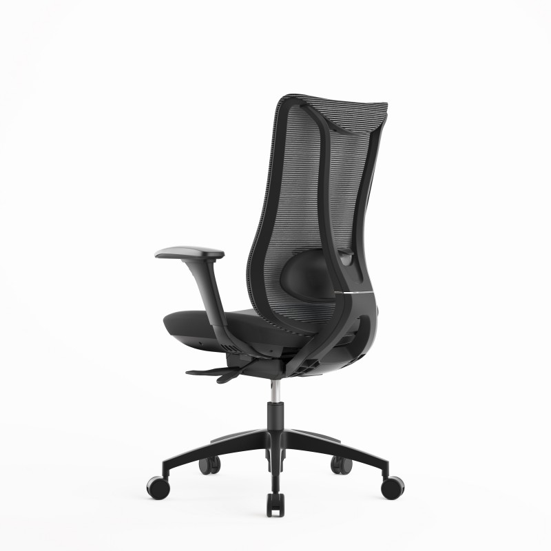 Chaise ergonomique Sara Plus | Bikkom