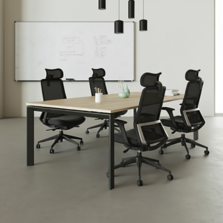 Chaise professionnelle Emma Plus