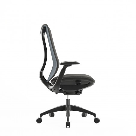 Ergonomische bureaustoel Diana Plus