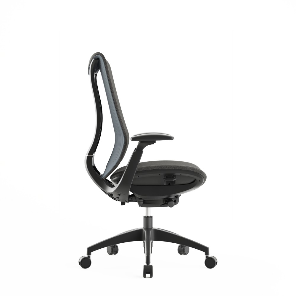 Ergonomische bureaustoel Diana Plus