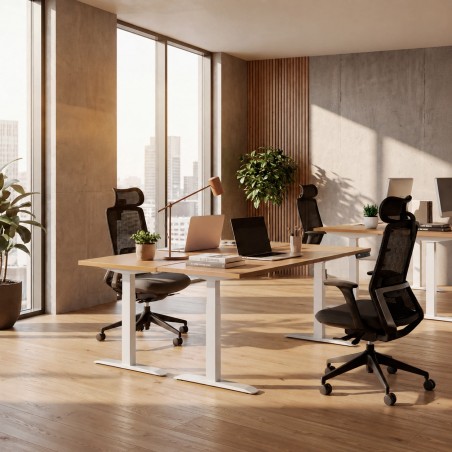 Zenit bureau met ergonomische stoel