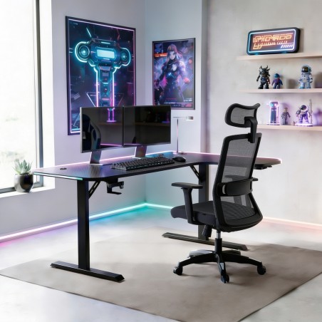 Setup gaming complet avec Nexa L