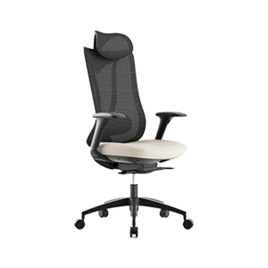 Chaises ergonomiques